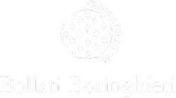Bollati Boringhieri
